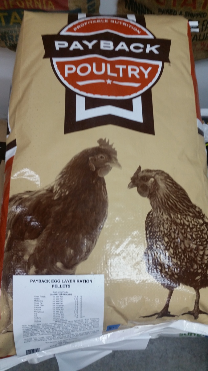Payback Poultry Egglayer - Chicken Feed - Cully Farm Store - Portland