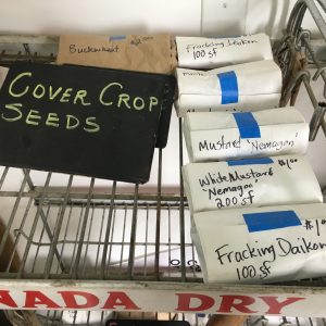 Cover Crop Seeds