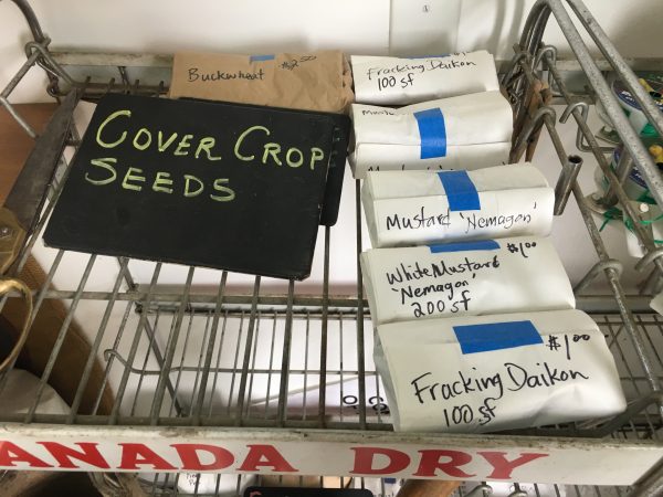 Cover Crop Seeds