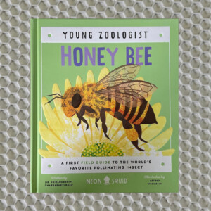 Young Zoologist – Honey Bee